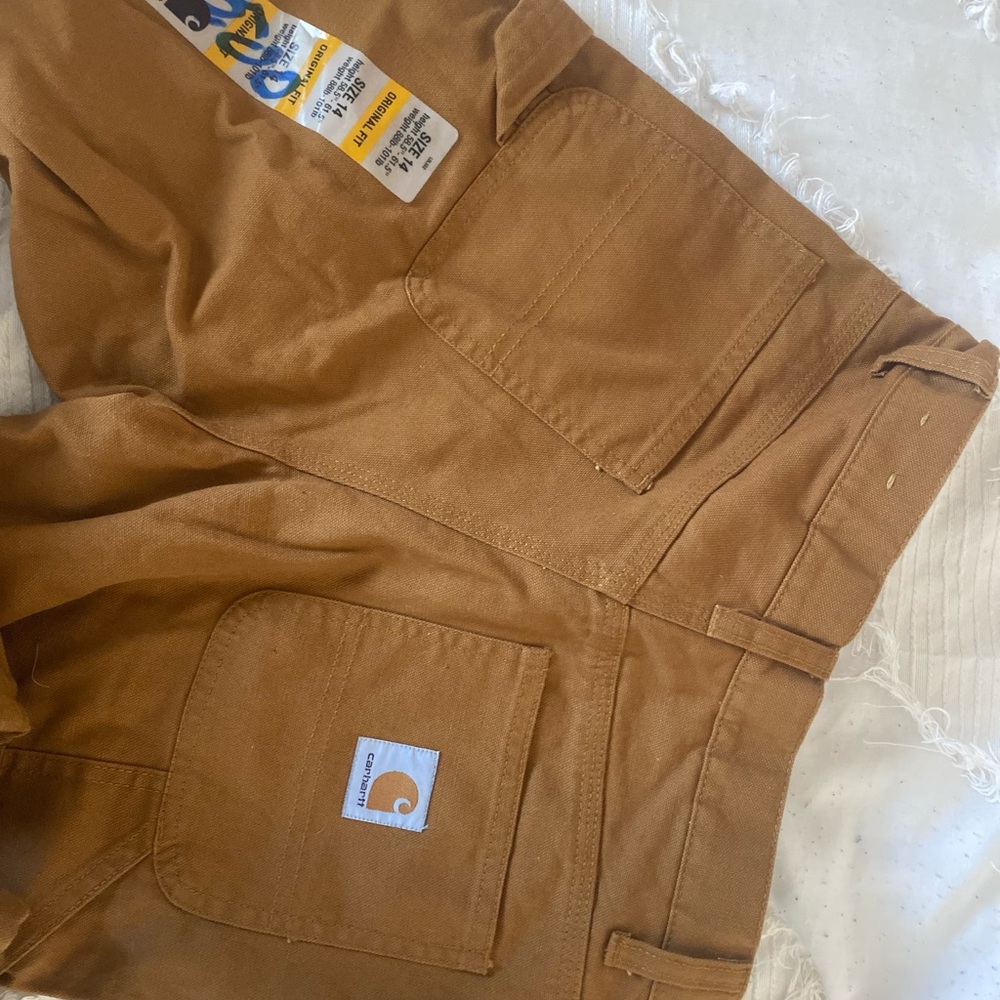 Brown Carhartt Pants (Tags on)